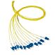 Latiguillo de fibra óptica OS2 amarillo LC/PC - 12 unidades