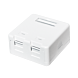 Caja de medios Keystone de 2 puertos