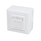 Caja de montaje en superficie CAT5e UTP/STP, blanca