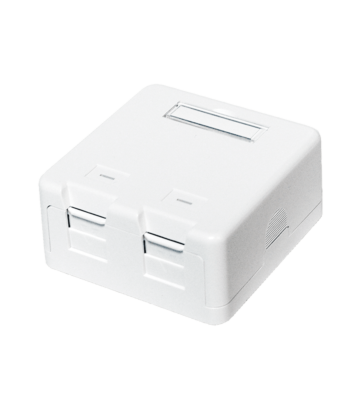 Caja de medios Keystone de 2 puertos